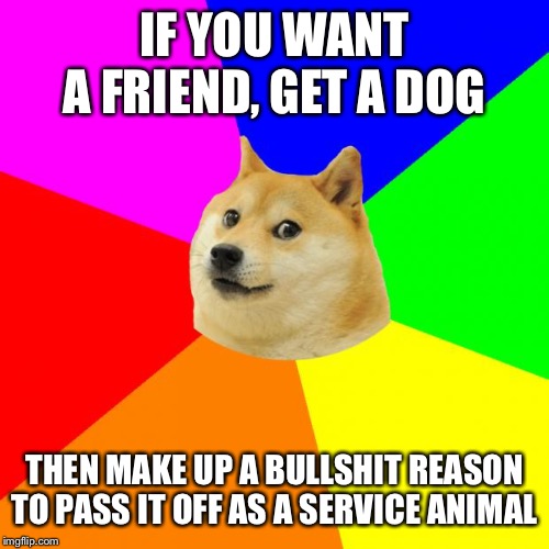 Advice Doge | IF YOU WANT A FRIEND, GET A DOG; THEN MAKE UP A BULLSHIT REASON TO PASS IT OFF AS A SERVICE ANIMAL | image tagged in memes,advice doge | made w/ Imgflip meme maker