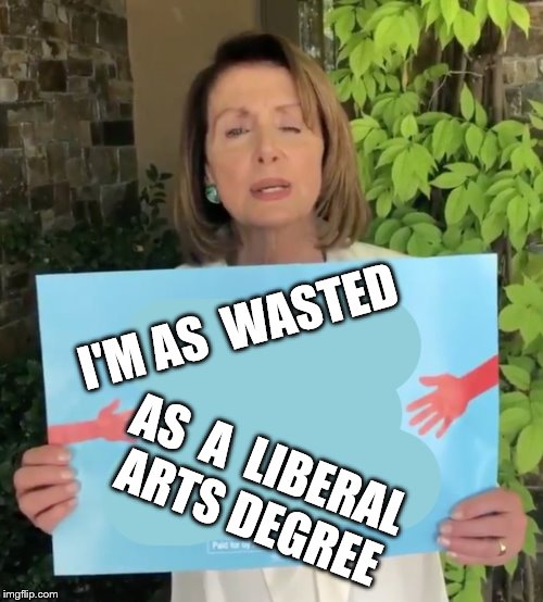 Wasted Nancy | I'M AS  WASTED AS  A  LIBERAL ARTS DEGREE | image tagged in pelosi sign | made w/ Imgflip meme maker