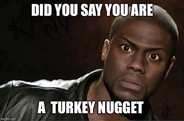 Kevin Hart Meme | DID YOU SAY YOU ARE; A  TURKEY NUGGET | image tagged in memes,kevin hart | made w/ Imgflip meme maker