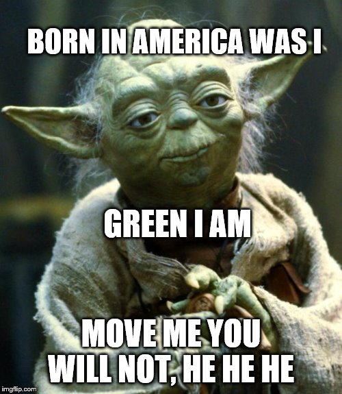 Star Wars Yoda | BORN IN AMERICA WAS I; GREEN I AM; MOVE ME YOU WILL NOT, HE HE HE | image tagged in memes,star wars yoda | made w/ Imgflip meme maker