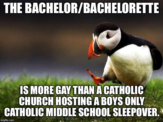 Just saying ... Bachelor/Bachelorette is gay as hell | THE BACHELOR/BACHELORETTE; IS MORE GAY THAN A CATHOLIC CHURCH HOSTING A BOYS ONLY CATHOLIC MIDDLE SCHOOL SLEEPOVER. | image tagged in memes,unpopular opinion puffin,catholic church,gay jokes,school,bachelor | made w/ Imgflip meme maker