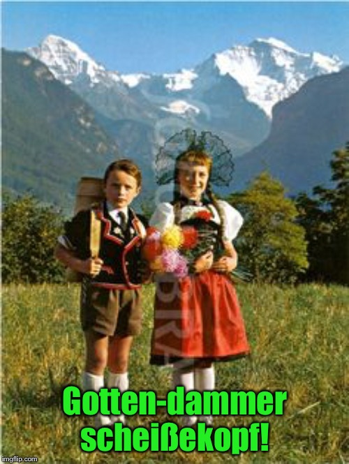 German Children | Gotten-dammer scheißekopf! | image tagged in german children | made w/ Imgflip meme maker