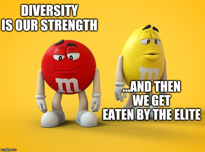 Sad M&M | DIVERSITY IS OUR STRENGTH; ...AND THEN WE GET EATEN BY THE ELITE | image tagged in sad mm | made w/ Imgflip meme maker