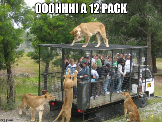 Lion cage people | OOOHHH! A 12 PACK | image tagged in lion cage people | made w/ Imgflip meme maker