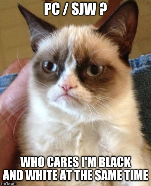 Grumpy Cat | PC / SJW ? WHO CARES I'M BLACK AND WHITE AT THE SAME TIME | image tagged in memes,grumpy cat | made w/ Imgflip meme maker