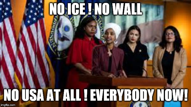 NO ICE ! NO WALL; NO USA AT ALL ! EVERYBODY NOW! | image tagged in the resistance | made w/ Imgflip meme maker