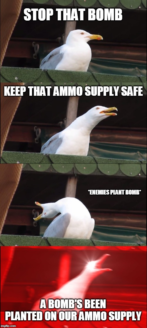 Inhaling Seagull | STOP THAT BOMB; KEEP THAT AMMO SUPPLY SAFE; *ENEMIES PLANT BOMB*; A BOMB'S BEEN PLANTED ON OUR AMMO SUPPLY | image tagged in memes,inhaling seagull | made w/ Imgflip meme maker