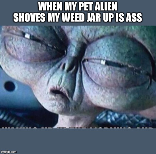 WHEN MY PET ALIEN SHOVES MY WEED JAR UP IS ASS | image tagged in aliens,area 51 | made w/ Imgflip meme maker