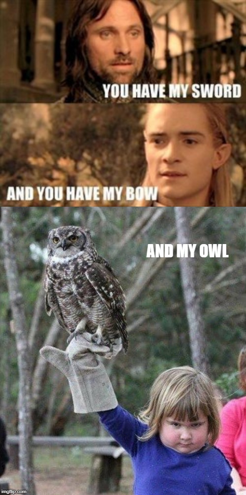 Woo? | AND MY OWL | image tagged in you have my sword and you have my bow | made w/ Imgflip meme maker