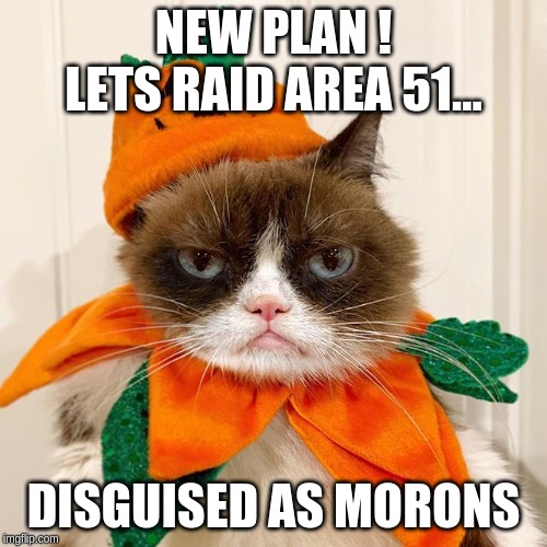 Grumpy Cat Halloween | NEW PLAN ! LETS RAID AREA 51... DISGUISED AS MORONS | image tagged in grumpy cat halloween | made w/ Imgflip meme maker
