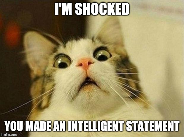 Scared Cat Meme | I'M SHOCKED YOU MADE AN INTELLIGENT STATEMENT | image tagged in memes,scared cat | made w/ Imgflip meme maker