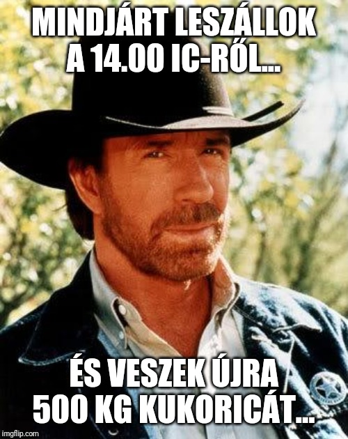 Chuck Norris Meme | MINDJÁRT LESZÁLLOK A 14.00 IC-RŐL... ÉS VESZEK ÚJRA 500 KG KUKORICÁT... | image tagged in memes,chuck norris | made w/ Imgflip meme maker