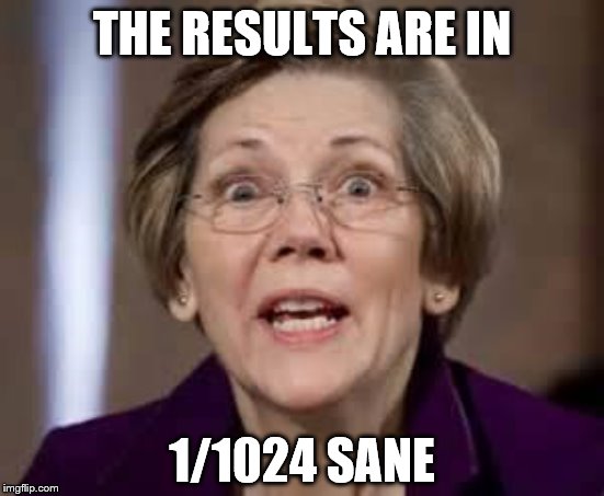 Full Retard Senator Elizabeth Warren | THE RESULTS ARE IN 1/1024 SANE | image tagged in full retard senator elizabeth warren | made w/ Imgflip meme maker