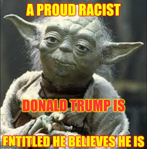 This Is Why We Can't Have Nice Things | A PROUD RACIST; DONALD TRUMP IS; ENTITLED HE BELIEVES HE IS | image tagged in this is why we can't have nice things yoda,trump unfit unqualified dangerous,racist trump,bigot,memes | made w/ Imgflip meme maker