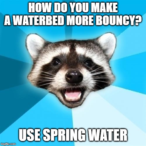 Lame Pun Coon | HOW DO YOU MAKE A WATERBED MORE BOUNCY? USE SPRING WATER | image tagged in memes,lame pun coon,jokes,water | made w/ Imgflip meme maker