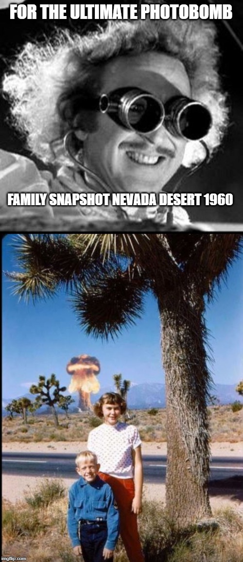 did you use flash on that pic ? | FOR THE ULTIMATE PHOTOBOMB; FAMILY SNAPSHOT NEVADA DESERT 1960 | image tagged in mad scientist,bomb,wtf was that | made w/ Imgflip meme maker