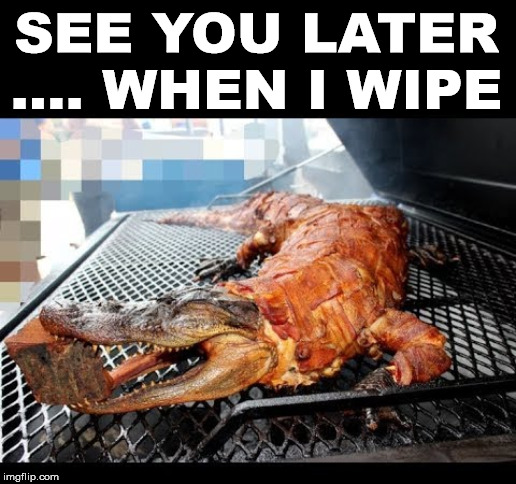 SEE YOU LATER .... WHEN I WIPE | made w/ Imgflip meme maker