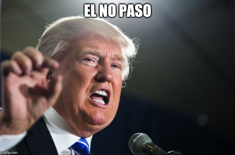 donald trump | EL NO PASO | image tagged in donald trump | made w/ Imgflip meme maker