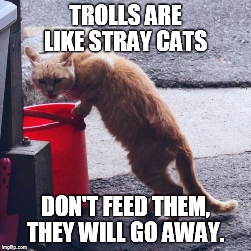 hobo cat | TROLLS ARE LIKE STRAY CATS; DON'T FEED THEM, THEY WILL GO AWAY. | image tagged in hobo cat | made w/ Imgflip meme maker