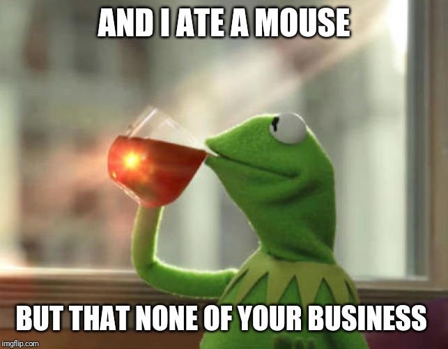 But That's None Of My Business (Neutral) Meme | AND I ATE A MOUSE BUT THAT NONE OF YOUR BUSINESS | image tagged in memes,but thats none of my business neutral | made w/ Imgflip meme maker