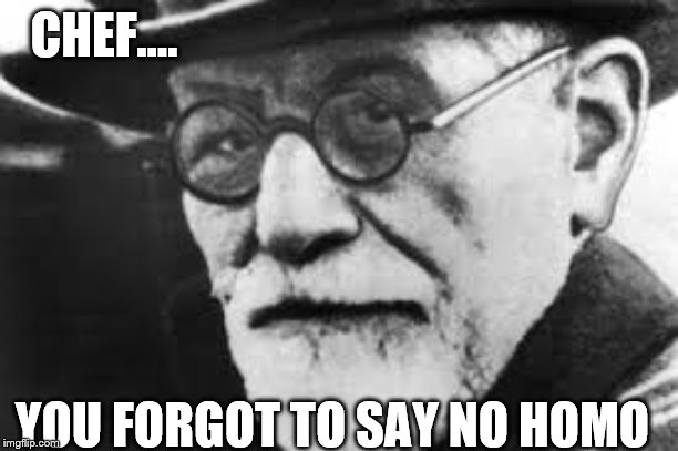 Sigmund says | CHEF.... YOU FORGOT TO SAY NO HOMO | image tagged in sigmund says | made w/ Imgflip meme maker