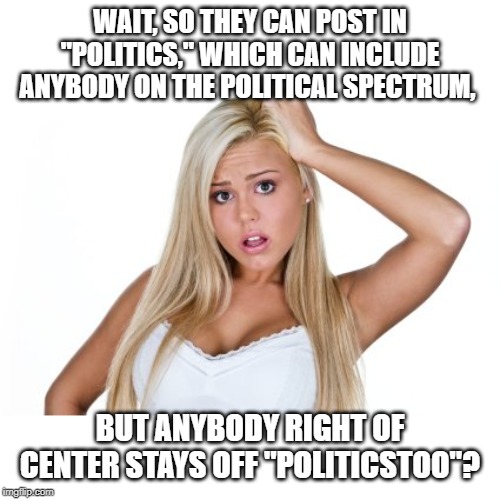 Dumb Blonde | WAIT, SO THEY CAN POST IN "POLITICS," WHICH CAN INCLUDE ANYBODY ON THE POLITICAL SPECTRUM, BUT ANYBODY RIGHT OF CENTER STAYS OFF "POLITICSTO | image tagged in dumb blonde | made w/ Imgflip meme maker