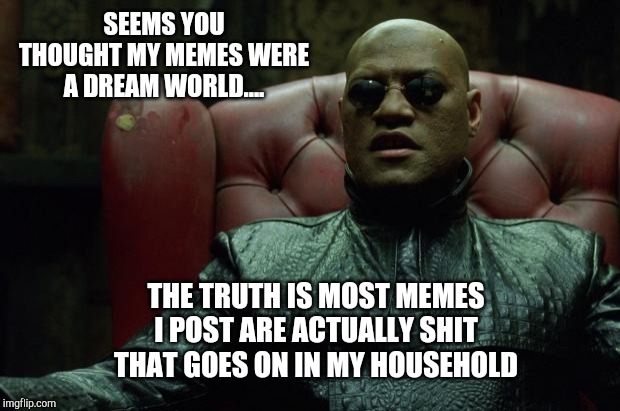 Matrix Morpheus  | SEEMS YOU THOUGHT MY MEMES WERE A DREAM WORLD.... THE TRUTH IS MOST MEMES I POST ARE ACTUALLY SHIT THAT GOES ON IN MY HOUSEHOLD | image tagged in matrix morpheus | made w/ Imgflip meme maker