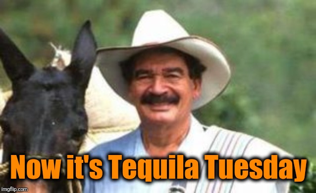 Now it's Tequila Tuesday | made w/ Imgflip meme maker