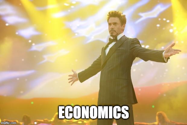 Tony Stark success | ECONOMICS | image tagged in tony stark success | made w/ Imgflip meme maker