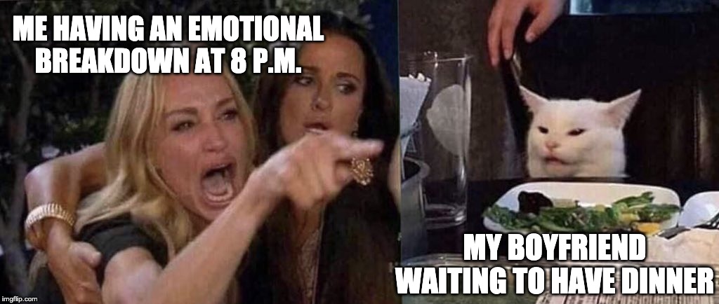 woman yelling at cat | ME HAVING AN EMOTIONAL BREAKDOWN AT 8 P.M. MY BOYFRIEND WAITING TO HAVE DINNER | image tagged in woman yelling at cat | made w/ Imgflip meme maker