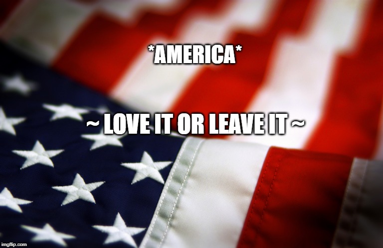 AMERICA. Love It or Leave It | *AMERICA*; ~ LOVE IT OR LEAVE IT ~ | image tagged in america love it or leave it | made w/ Imgflip meme maker