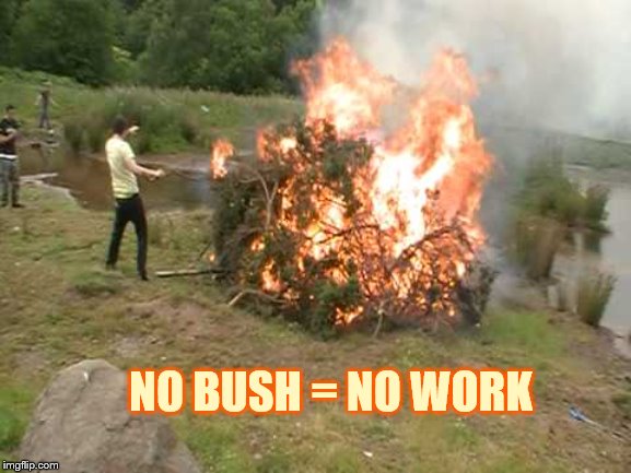 NO BUSH = NO WORK | made w/ Imgflip meme maker