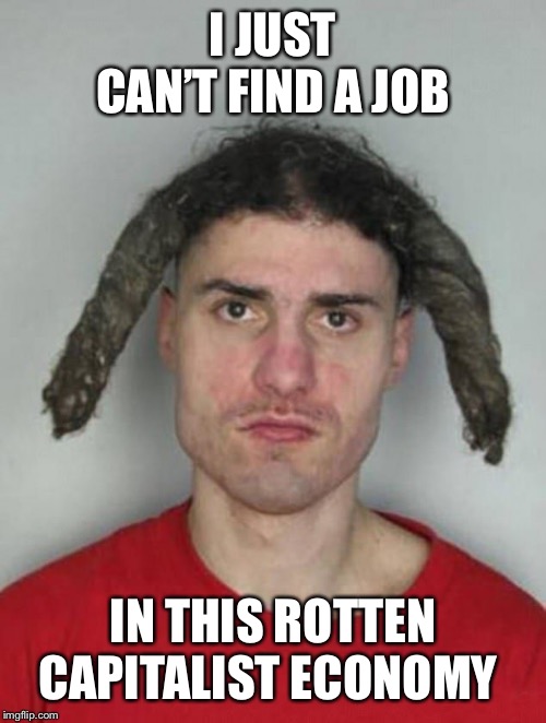 I JUST CAN’T FIND A JOB; IN THIS ROTTEN CAPITALIST ECONOMY | image tagged in capitalism,because capitalism,liberal logic,libtards,democratic socialism | made w/ Imgflip meme maker