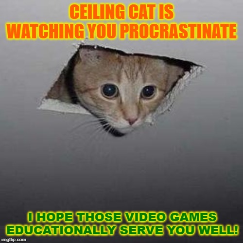 Ceiling Cat is Watching You Procrastinate | CEILING CAT IS WATCHING YOU PROCRASTINATE; I HOPE THOSE VIDEO GAMES EDUCATIONALLY SERVE YOU WELL! | image tagged in memes,ceiling cat | made w/ Imgflip meme maker