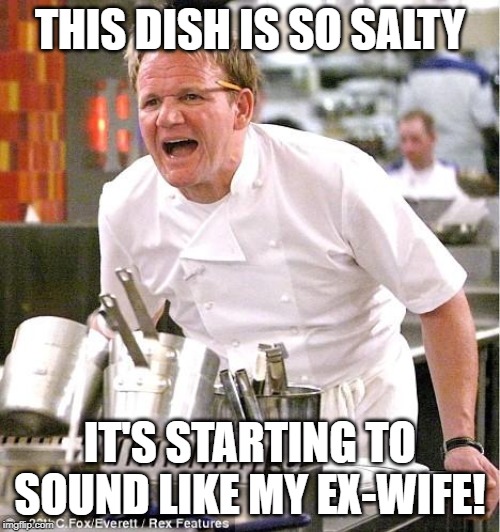 Chef Gordon Ramsay Meme | THIS DISH IS SO SALTY; IT'S STARTING TO SOUND LIKE MY EX-WIFE! | image tagged in memes,chef gordon ramsay | made w/ Imgflip meme maker