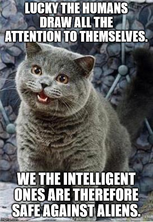 I can has cheezburger cat | LUCKY THE HUMANS DRAW ALL THE ATTENTION TO THEMSELVES. WE THE INTELLIGENT ONES ARE THEREFORE SAFE AGAINST ALIENS. | image tagged in i can has cheezburger cat | made w/ Imgflip meme maker