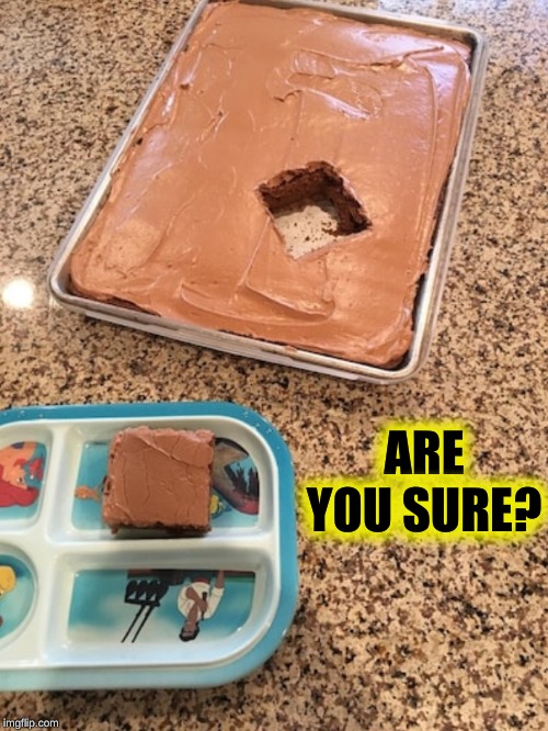 OCD Cake | ARE YOU SURE? | image tagged in ocd cake | made w/ Imgflip meme maker