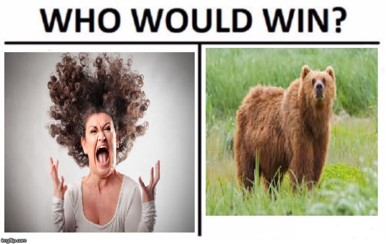 image tagged in who would win | made w/ Imgflip meme maker