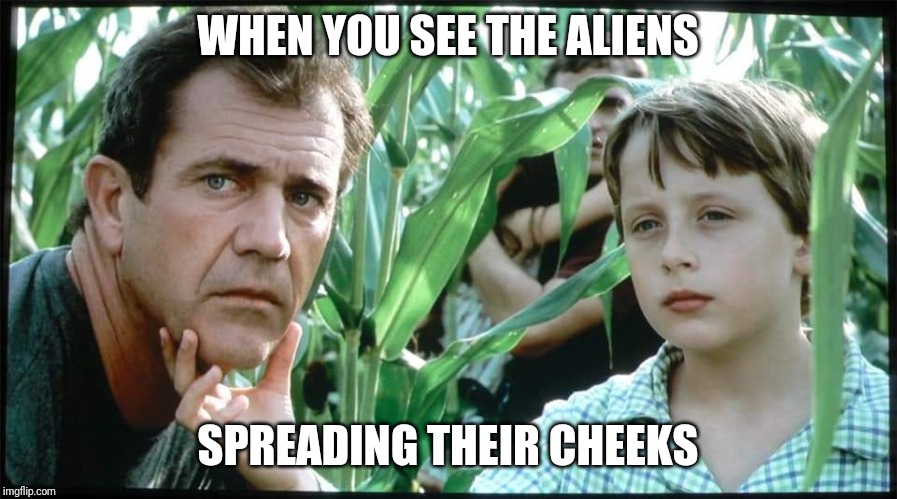 Signs | WHEN YOU SEE THE ALIENS; SPREADING THEIR CHEEKS | image tagged in signs | made w/ Imgflip meme maker