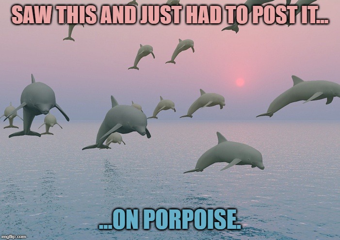 Thanks for all the fish | SAW THIS AND JUST HAD TO POST IT... ...ON PORPOISE. | image tagged in thanks for all the fish | made w/ Imgflip meme maker