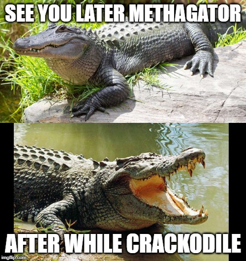 SEE YOU LATER METHAGATOR; AFTER WHILE CRACKODILE | image tagged in crocs | made w/ Imgflip meme maker