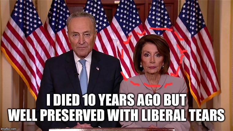 Pelosi and Schumer | I DIED 10 YEARS AGO BUT WELL PRESERVED WITH LIBERAL TEARS | image tagged in pelosi and schumer | made w/ Imgflip meme maker