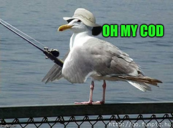 bird-fishy | OH MY COD | image tagged in bird-fishy | made w/ Imgflip meme maker