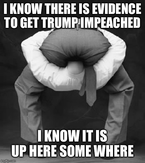 liberals problem | I KNOW THERE IS EVIDENCE TO GET TRUMP IMPEACHED; I KNOW IT IS UP HERE SOME WHERE | image tagged in liberals problem | made w/ Imgflip meme maker