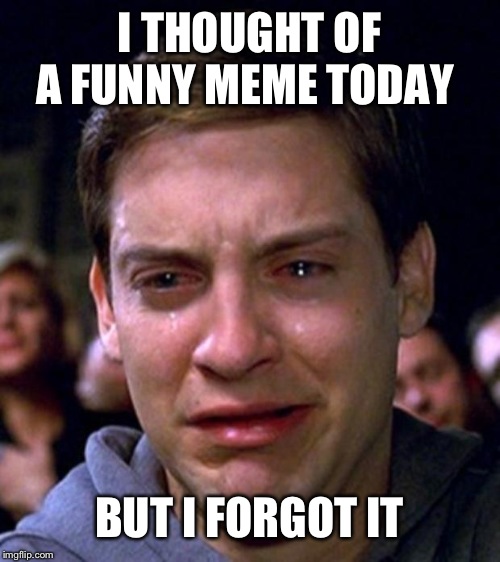 crying peter parker | I THOUGHT OF A FUNNY MEME TODAY; BUT I FORGOT IT | image tagged in crying peter parker | made w/ Imgflip meme maker