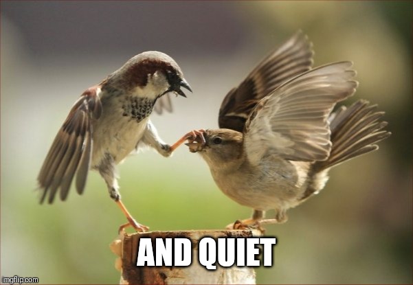 please be quiet | AND QUIET | image tagged in please be quiet | made w/ Imgflip meme maker