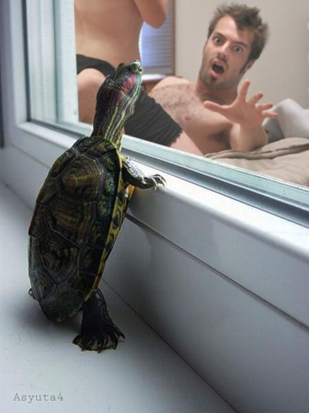 image tagged in funny