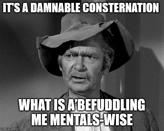 I beg your tarnation? | IT'S A DAMNABLE CONSTERNATION; WHAT IS A’BEFUDDLING ME MENTALS-WISE | image tagged in what in tarnation | made w/ Imgflip meme maker