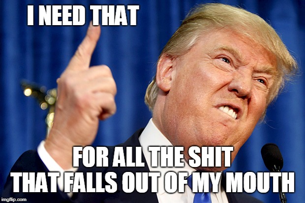Donald Trump | I NEED THAT FOR ALL THE SHIT THAT FALLS OUT OF MY MOUTH | image tagged in donald trump | made w/ Imgflip meme maker