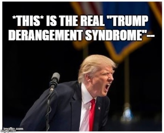 tds | image tagged in trump | made w/ Imgflip meme maker